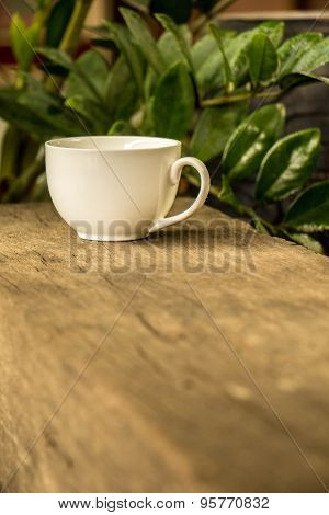 Cup Of Coffee