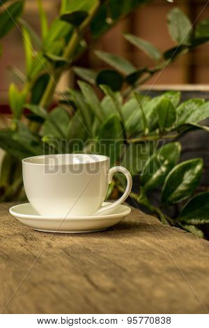 Cup Of Coffee