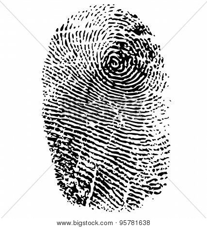 Fingerprint Vector