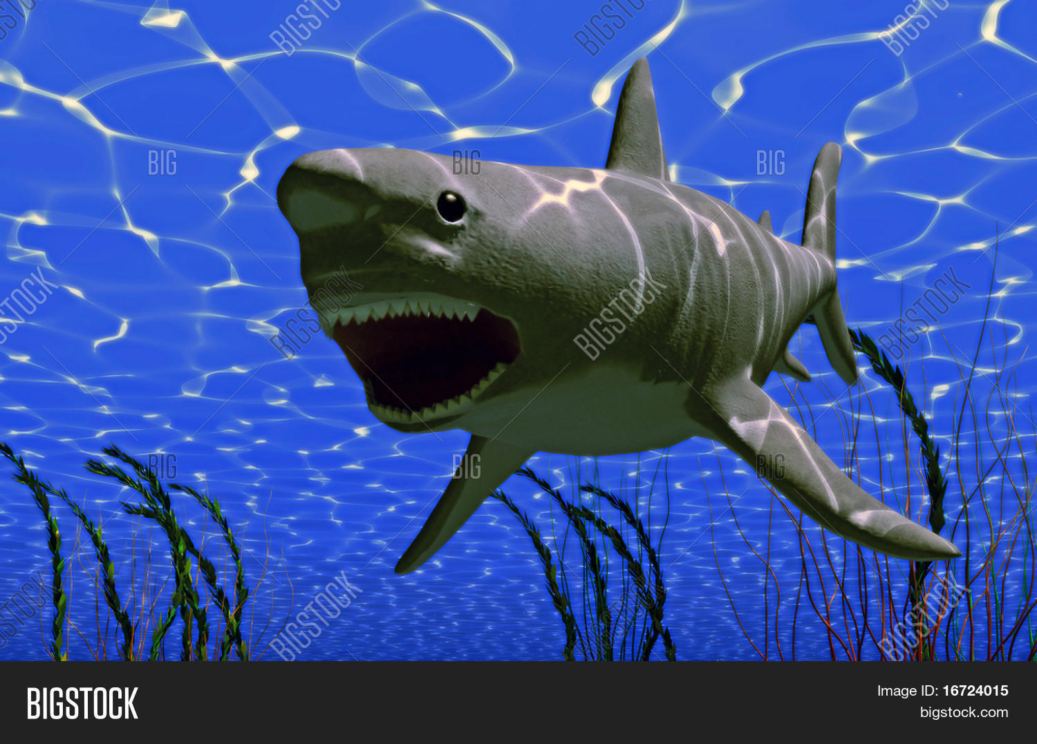 White Big Shark Jaws ( Image & Photo (Free Trial) | Bigstock