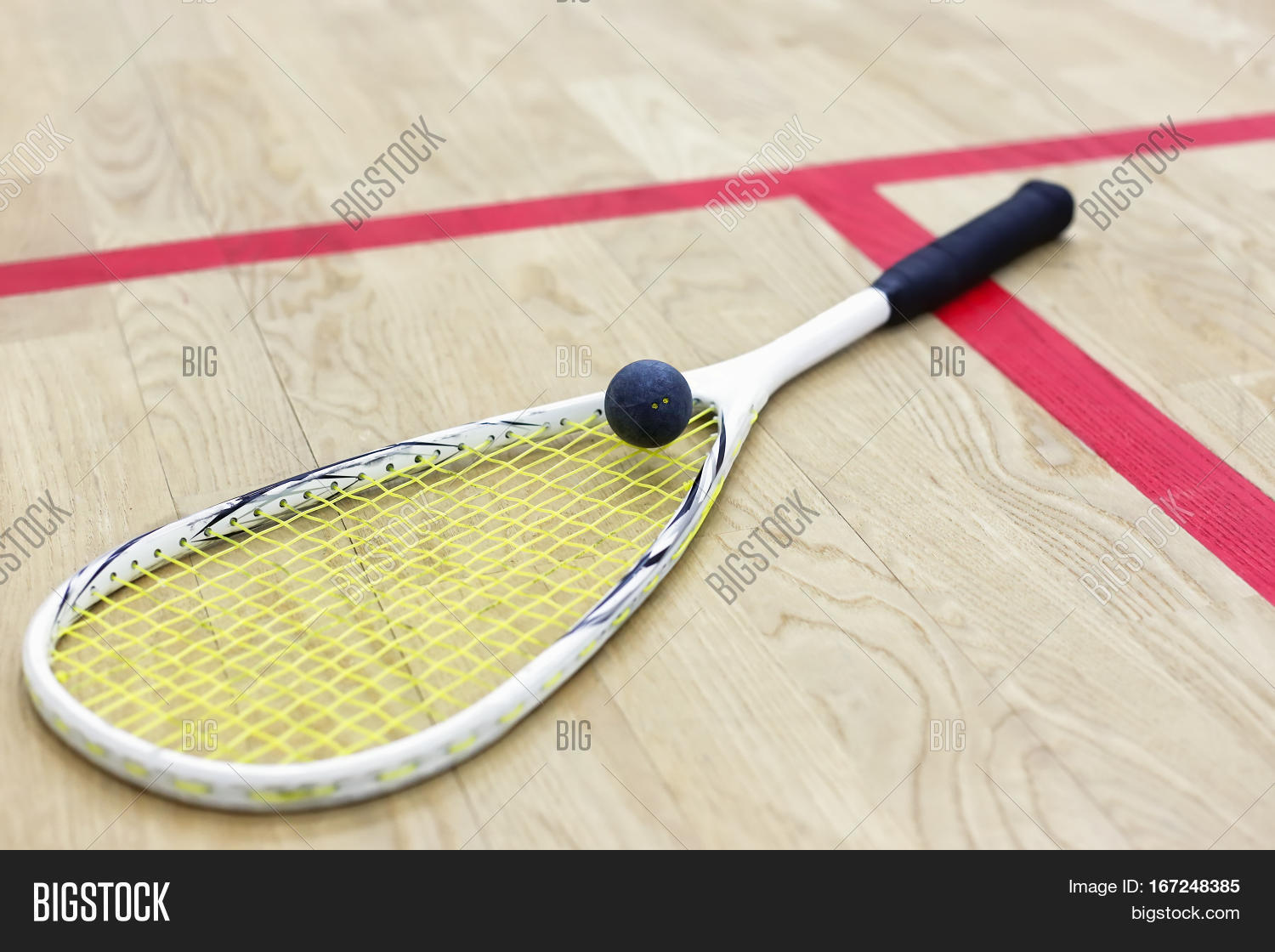 Squash Racket Ball On Image & Photo (Free Trial) Bigstock