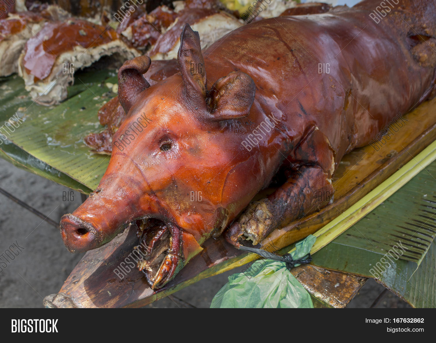 Whole Roasted Pig On Image & Photo (Free Trial) Bigstock