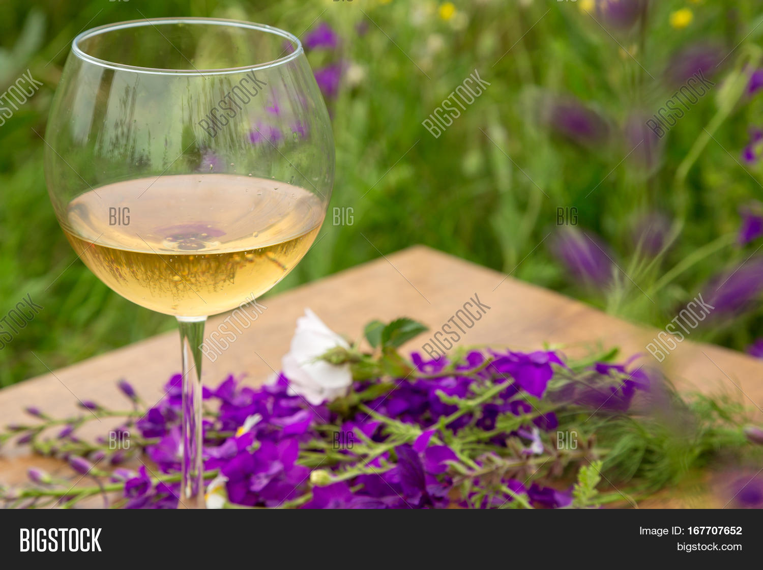 Самое вкусное вино. Лучшие вина в ароматном мире. Весеннее вино. Душистое вино. Вино фирмаменто красное полусухое.