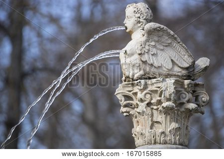 Royal gardens of the palace of aranjuez in madrid, spain