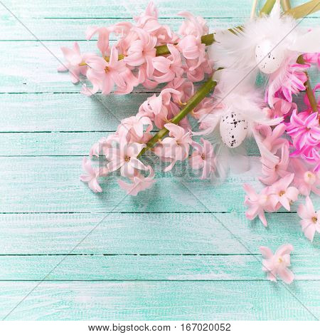 Colorful pink hyacinths flowers and decorative Eeaster eggs on turquoise wooden background. Easter background. Place for text. Square toned image.
