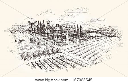 Landscape. Farm, agriculture or vineyards sketch Vector illustration