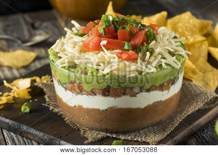 Homemade Mexican 7 Layer Dip