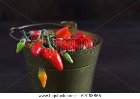fresh healthy goji berries in front of a brown wooden background