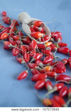 fresh undried goji berries in front of a blue wooden background