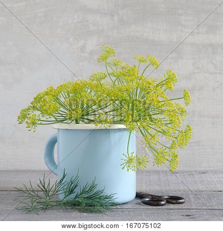 fresh tasty yellow dill weed garden fresh
