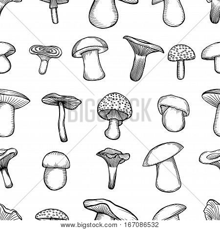 Hand drawn vector pattern. Seamless pattern with mushrooms. Creative black contour art work. Hand drawn illustration mushrooms. Nature seamless pattern
