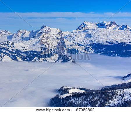 Summits of the Alps rising from sea of fog, wintertime view from Fronalpstock mountain in the Swiss Canton of Schwyz.