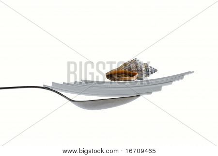 Paper Sheets, Shell In The Spoon