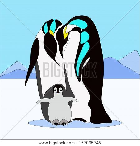 Animal penguin design flat. Bird penguin family vector, cartoon polar animal winter isolated, wild penguin character illustration