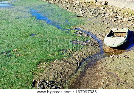Swamp on the Shore of Atlantic Ocean in Portugal