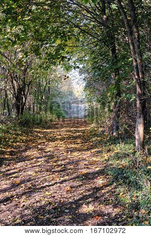 Lombardy Italy: bicycle track along the Villoresi canal at fall (october)