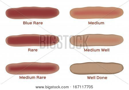 type of meat vector . steak doneness