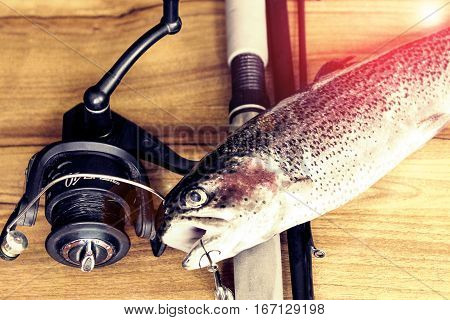 Fresh Rainbow Trout Closeup,soft Lighting Effect.