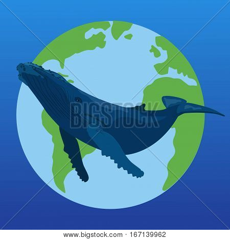 Blue Whale Illustration