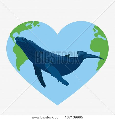 Blue Whale Illustration