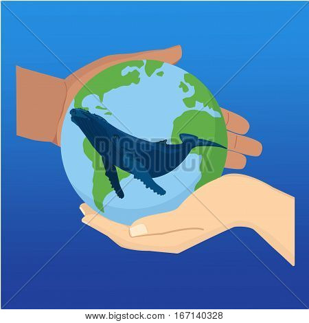Blue Whale Illustration