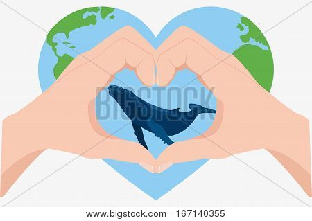 Blue Whale Illustration