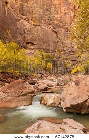 a scenic landscape of the Virgin River in fall in Zion National Park Utah