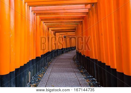 Tori gate at Fushimi-inari temple Zen Gate to the Japanese Temple Kyoto Japan