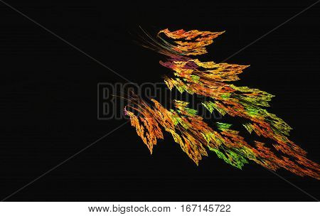 an abstract and colorul feather of Sunbird