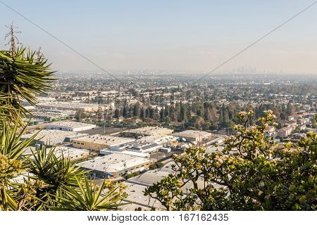 Los Angeles Cityscape W8A0368