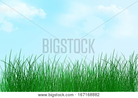 Spring natural background. Young grass and sky with clouds. Idyll. Warm day. Summer. Recreation. Relaxation. Walk in nature.