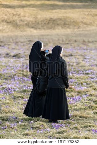 Nuns on mountain meadow with crocus flowers blooming