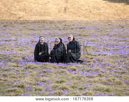 CHOCHOLOWSKA VALLEY, POLAND - MARCH 31, 2016: Nuns on mountain meadow with crocus flowers blooming
