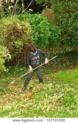 verneuil sur Seine France - november 3 2016 : a pruner in agarden
