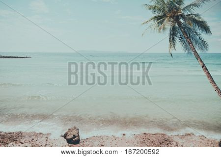 Vintage tropical beach (seascape) with palm tree in summer. Landscape of coast. vintage effect color tone.