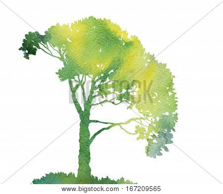 silhouette of green tree with leaves drawing in watercolor, hand drawn illustration