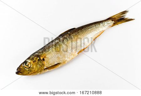 Baltic herring, smoked on a white background