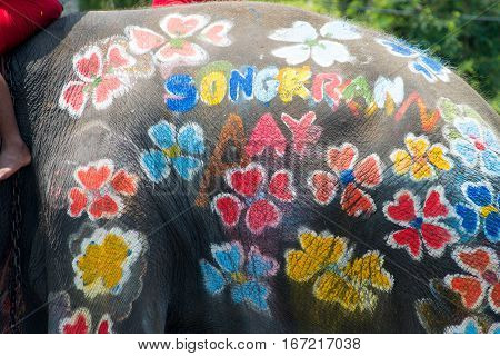 Body Paint