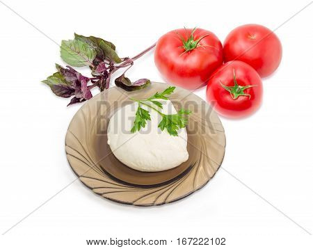 Ball of the fresh soaked mozzarella cheese on the dark glass saucer tomatoes and twigs of parsley and purple basil on a light background