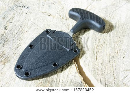 Neck Knife In Case On Stump.