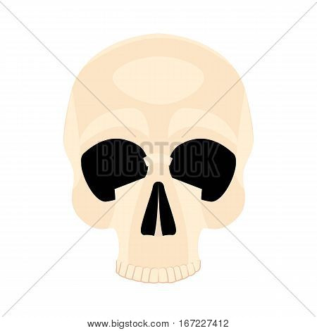 Icon human skull isolated on a white background