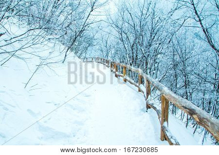 Footpath under snow in nature park Plitvice, Croatia