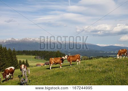 view onto the mountains of the Seetaler Alpen