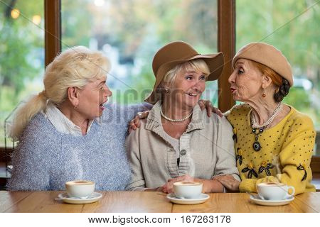 Three senior ladies in cafe. Women talking to each other. The best friends.