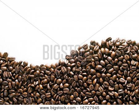 เมล็ดกาแฟบนพื้นสีขาว (ดูเพิ่มเติมกาแฟในผลงานของฉัน)