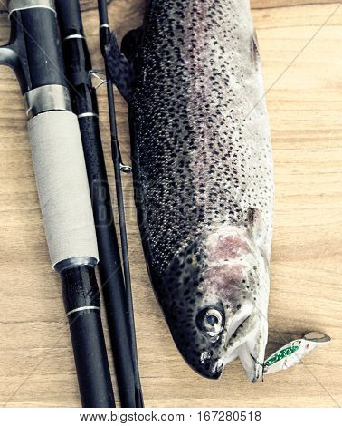Fresh Rainbow Trout Closeup,soft Lighting Effect.