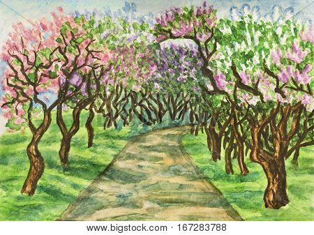 Hand painted illustration watercolours - spring landscape lilac garden in blossom. Size of original 295 x 21 sm.