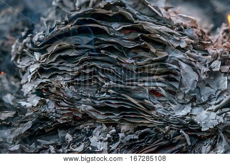 Burnig paper pages and remaining ashes and ember