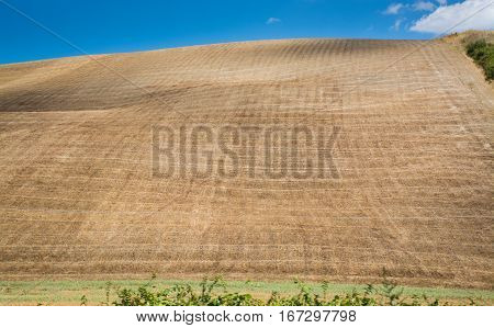 Typical hills of Tuscany as seen from Montepulciano
