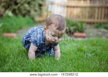 Baby girl crawling on the grass in the garden selective focus
